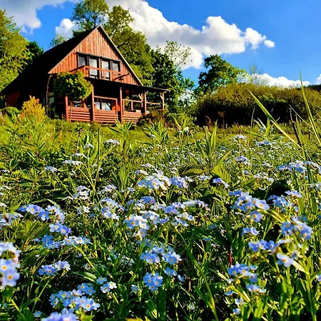 Horská chata Karkonosze 8 Os Jacuzzi Sauna Basen Podgrzewany Piaskowy Kon