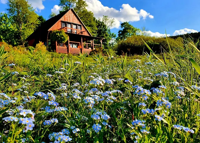 Alpehytte Karkonosze 8 Os Jacuzzi Sauna Basen Podgrzewany Piaskowy Kon